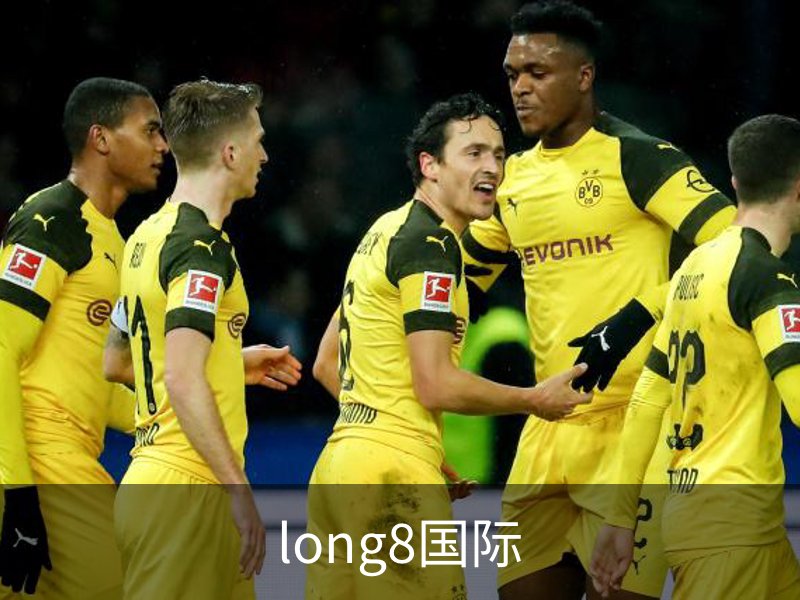 long8国际简介